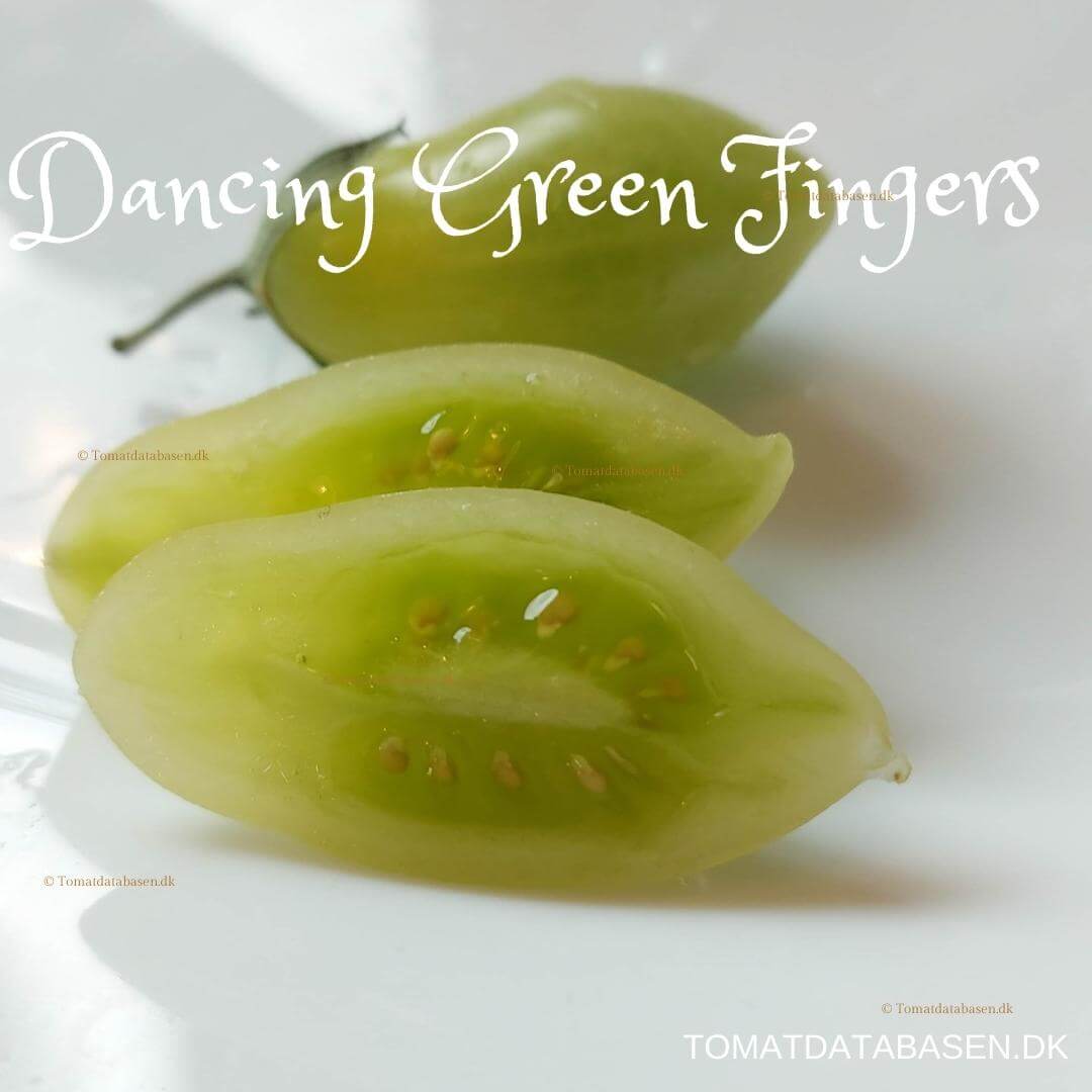 Dancing green fingers